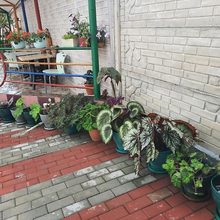Nino Kobuleti Exterior foto